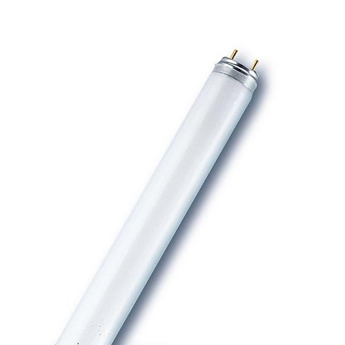 Radium leuchtstofflampe - radium, t8