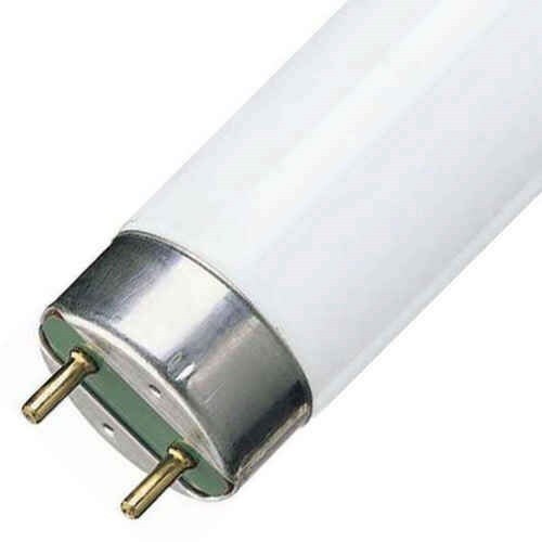 Philips leuchtstofflampe d - philips,